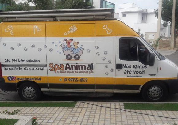 Banho e tosa sao joao da boa vista Outlet