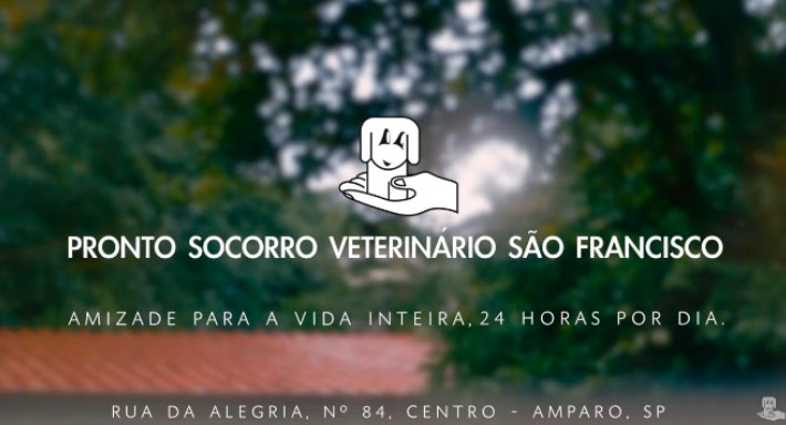 pronto-socorro-veterinario-24-horas-sao-francisco-amparo-serra-negra-monte-alegre-pedreira