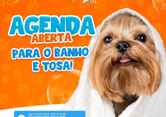 Banho e Tosa 24 Horas - Hospital Veterinário São Paulo Clinica