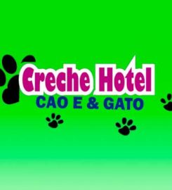 Hotel Creche Cão e Gato