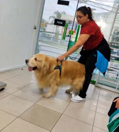 Hospital Veterinário Fucinhos e Patas